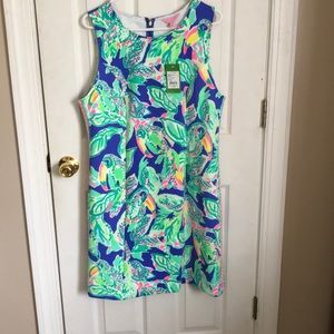 Lilly dress Excellent new condition